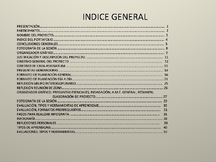 INDICE GENERAL 