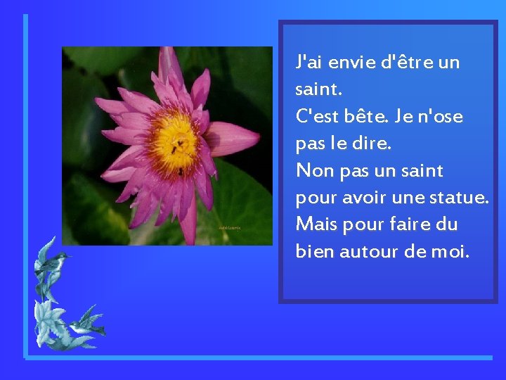 J'ai envie d'être un saint. C'est bête. Je n'ose pas le dire. Non pas