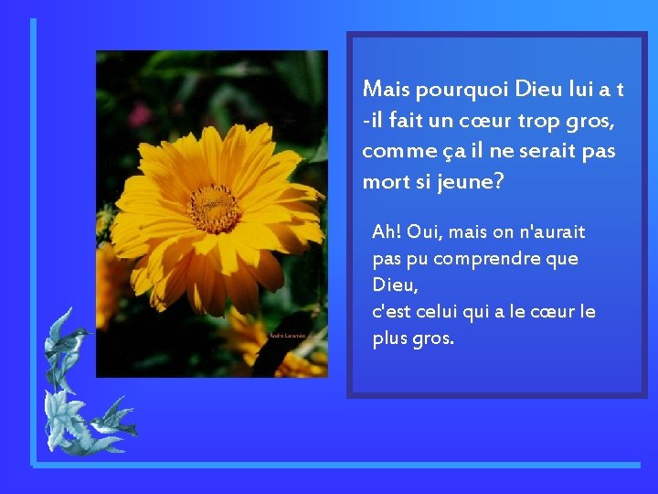 Mais pourquoi Dieu lui a t -il fait un cœur trop gros, comme ça