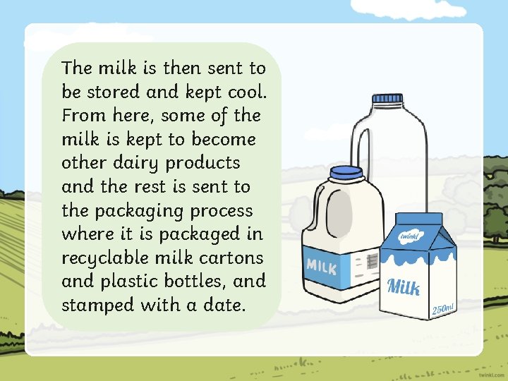 The milk is then sent to be stored and kept cool. From here, some