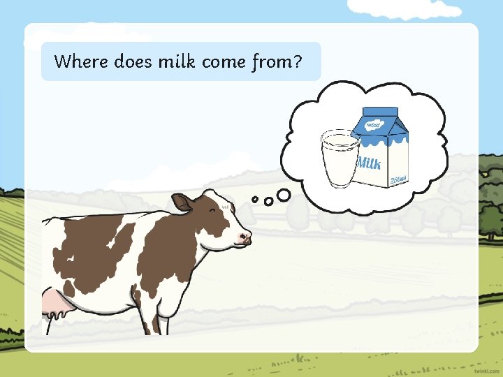Where does milk come from? 