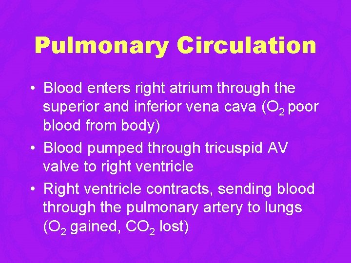 Pulmonary Circulation • Blood enters right atrium through the superior and inferior vena cava Pulmonary Circulation • Blood enters right atrium through the superior and inferior vena cava