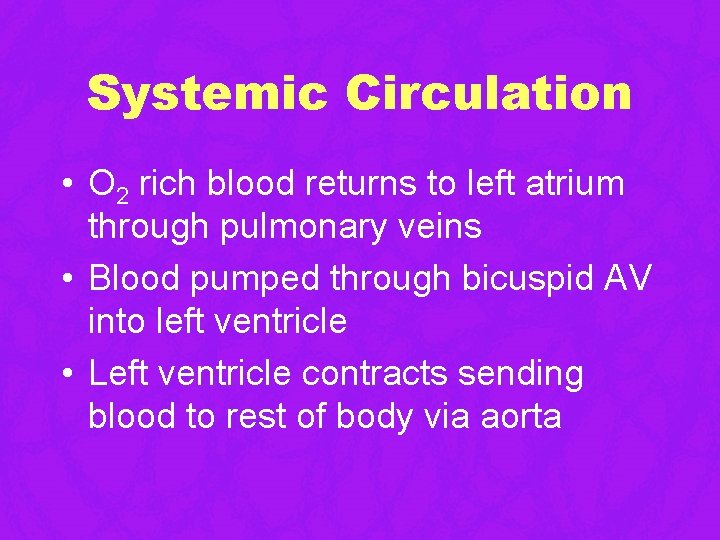 Systemic Circulation • O 2 rich blood returns to left atrium through pulmonary veins Systemic Circulation • O 2 rich blood returns to left atrium through pulmonary veins
