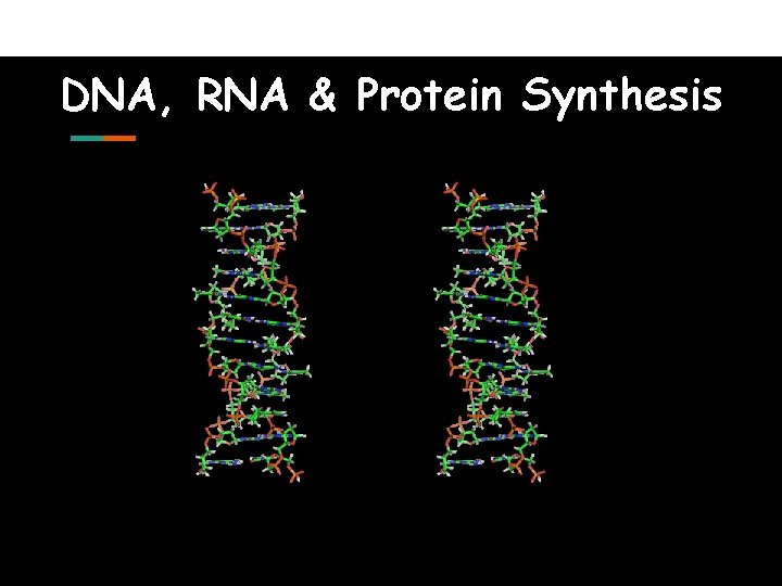DNA, RNA & Protein Synthesis 
