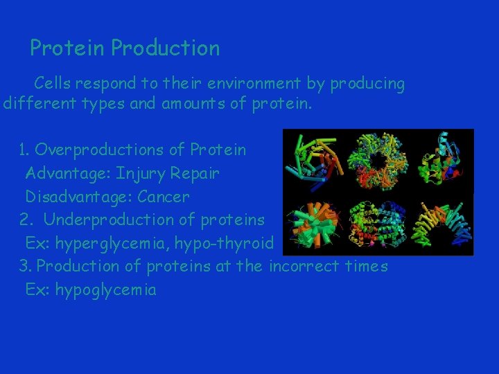 Protein Production Cells respond to their environment by producing different types and amounts of