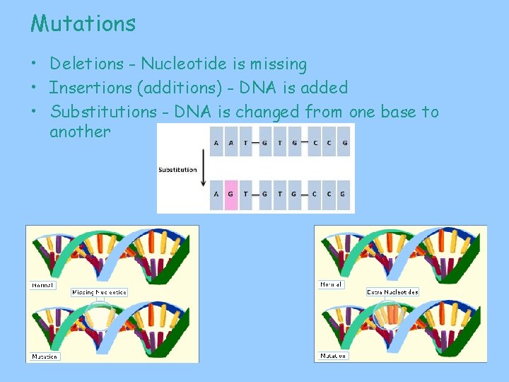 Mutations • Deletions - Nucleotide is missing • Insertions (additions) - DNA is added