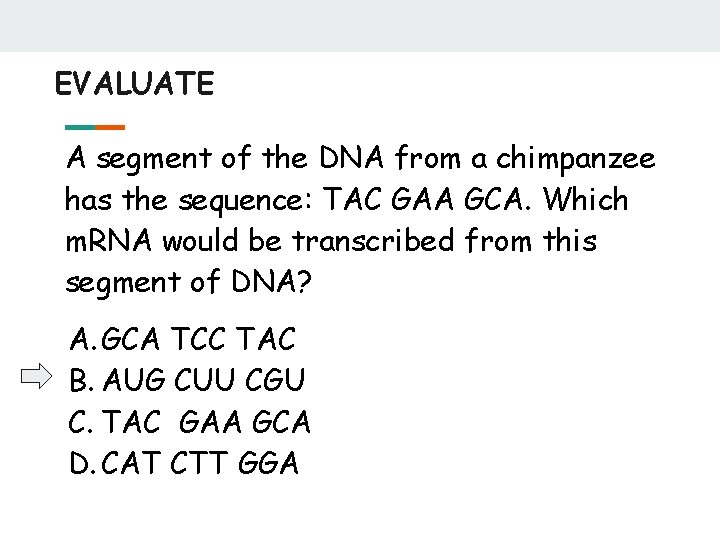 EVALUATE A segment of the DNA from a chimpanzee has the sequence: TAC GAA