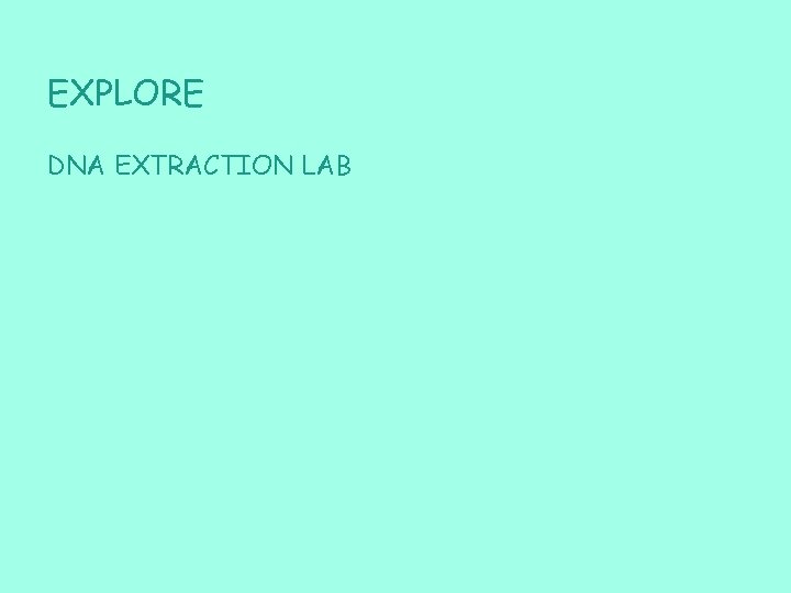 EXPLORE DNA EXTRACTION LAB 