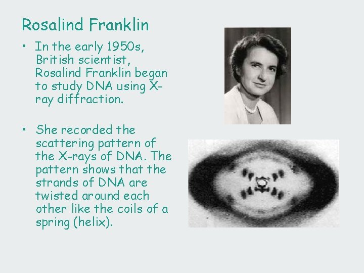 Rosalind Franklin • In the early 1950 s, British scientist, Rosalind Franklin began to