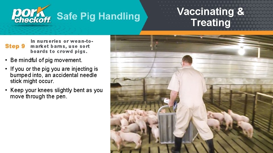 Vaccinating & Treating Step 9 In nurseries or wean-tomarket barns, use sort boards to