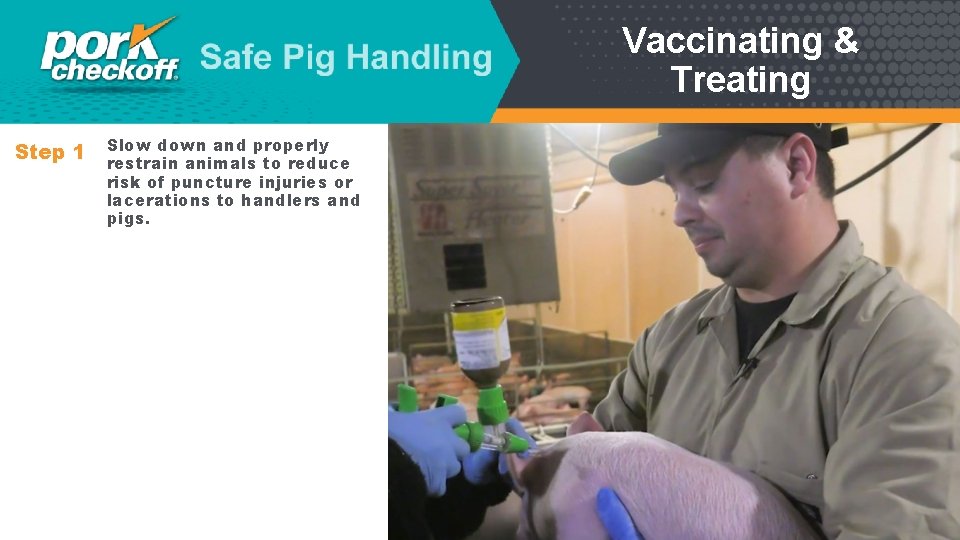 Vaccinating & Treating Step 1 Slow down and properly restrain animals to reduce risk
