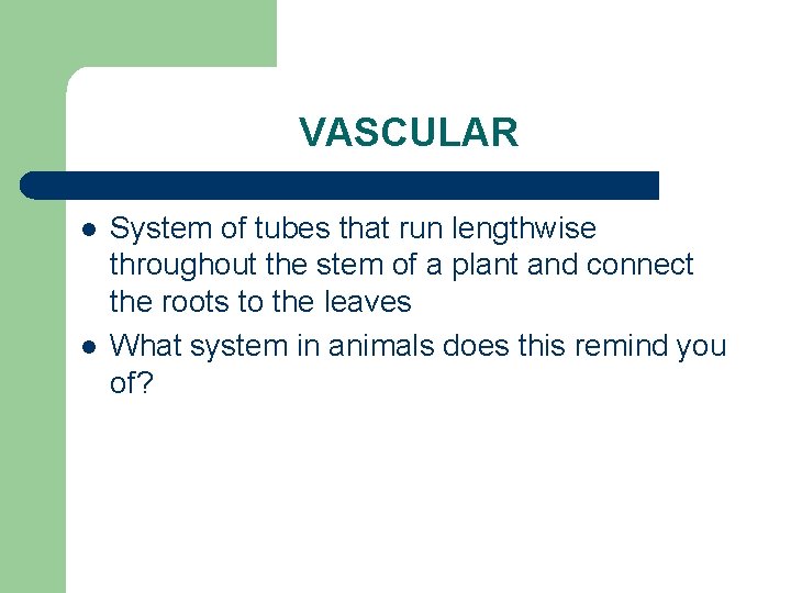 VASCULAR l l System of tubes that run lengthwise throughout the stem of a