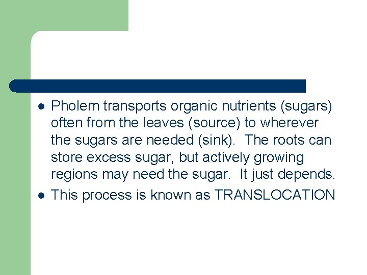 l l Pholem transports organic nutrients (sugars) often from the leaves (source) to wherever