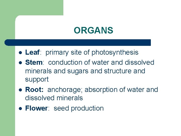 ORGANS l l Leaf: primary site of photosynthesis Stem: conduction of water and dissolved