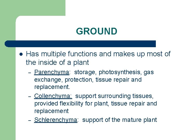 GROUND l Has multiple functions and makes up most of the inside of a
