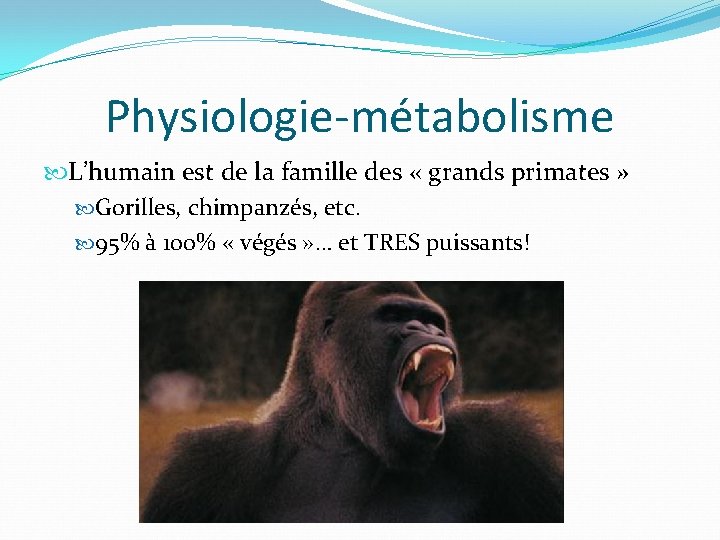 Physiologie-métabolisme L’humain est de la famille des « grands primates » Gorilles, chimpanzés, etc.