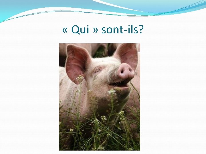  « Qui » sont-ils? 