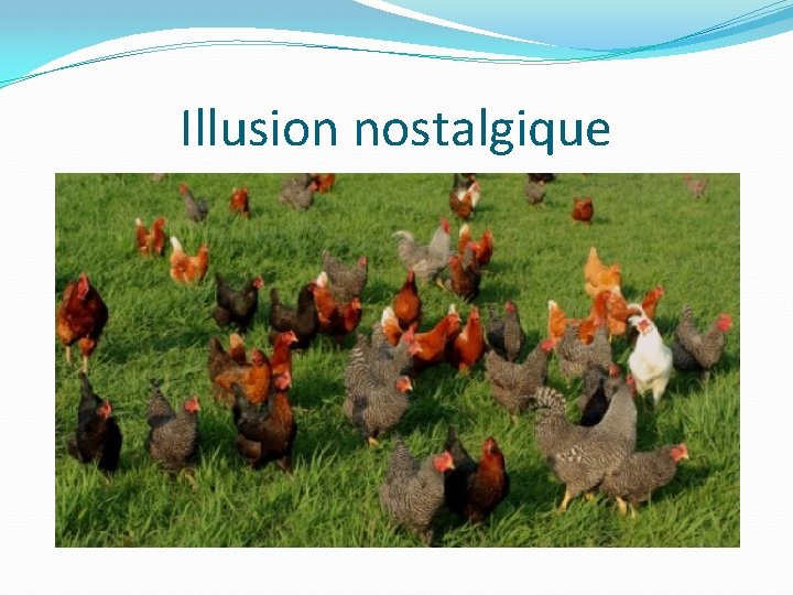 Illusion nostalgique 