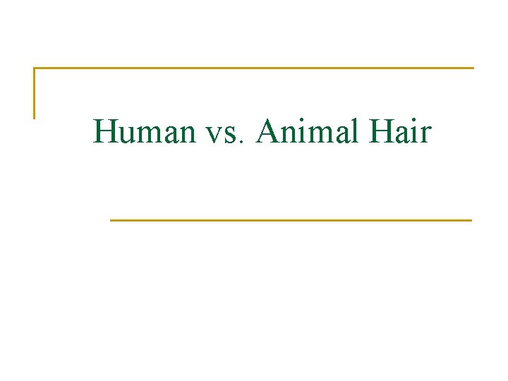 Human vs. Animal Hair 