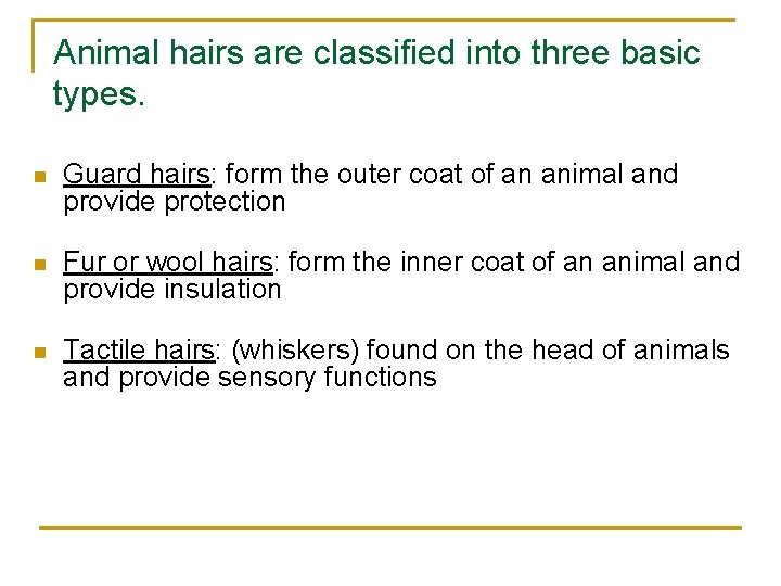 Animal hairs are classified into three basic types. n Guard hairs: form the outer