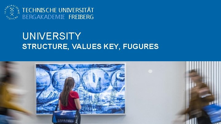 TECHNISCHE UNIVERSITÄT BERGAKADEMIE FREIBERG UNIVERSITY STRUCTURE, VALUES KEY, FUGURES 