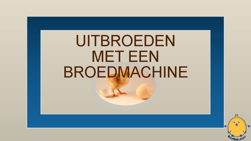 EIEREN UITBROEDEN MET EEN BROEDMACHINE 