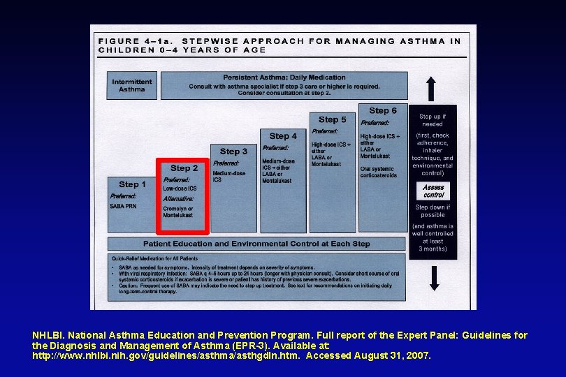 NHLBI. National Asthma Education and Prevention Program. Full report of the Expert Panel: Guidelines