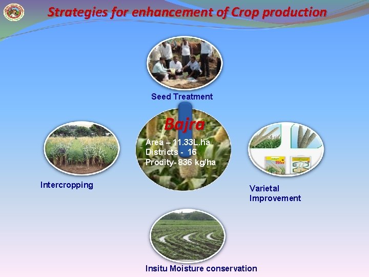 Strategies for enhancement of Crop production Seed Treatment Bajra Area – 11. 33 L.