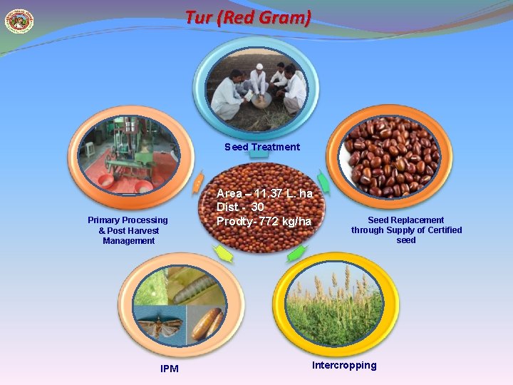 Tur (Red Gram) Seed Treatment Primary Processing & Post Harvest Management IPM Area –