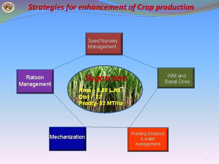 Strategies for enhancement of Crop production Seed Nursery Management Ratoon Management Sugarcane INM and