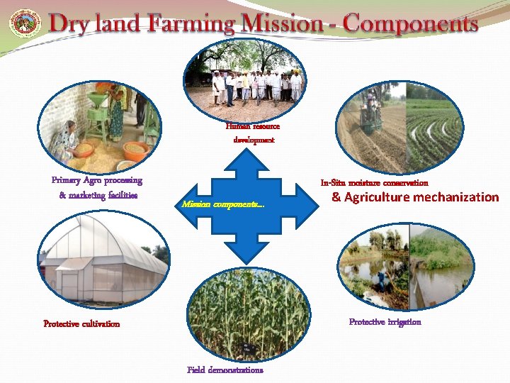 Human resource development Primary Agro processing & marketing facilities In-Situ moisture conservation Mission components.