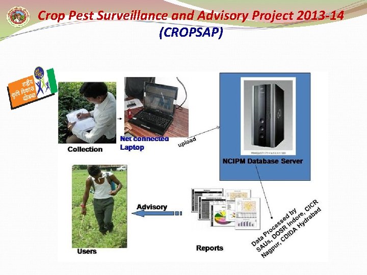 Crop Pest Surveillance and Advisory Project 2013 -14 (CROPSAP) 