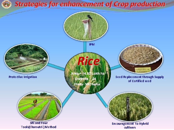 IPM Rice Protective Irrigation Area – 14. 92 Lakh ha Districts - 24 Prodty-