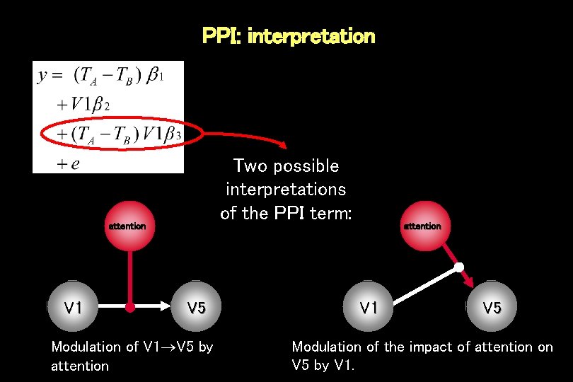 PPI: interpretation Two possible interpretations of the PPI term: attention V 1 V 5