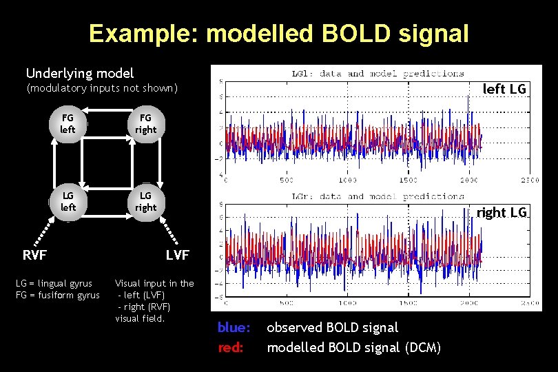 Example: modelled BOLD signal Underlying model left LG (modulatory inputs not shown) FG left