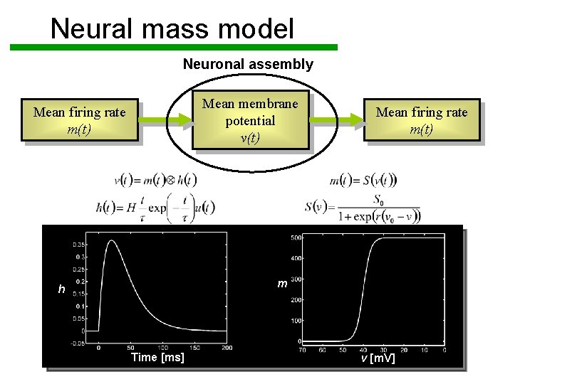 Neural mass model Neuronal assembly Mean membrane potential v(t) Mean firing rate m(t) m