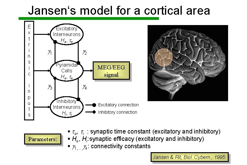 Jansen‘s model for a cortical area E x t r i n s i