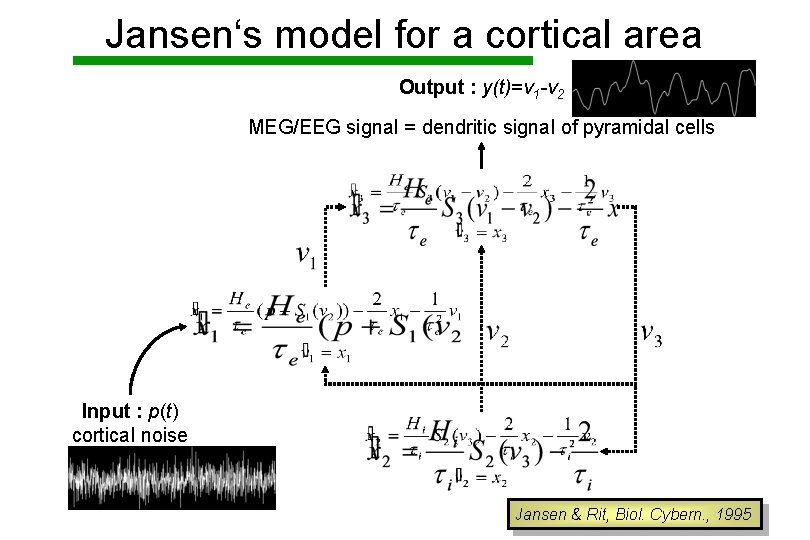 Jansen‘s model for a cortical area Output : y(t)=v 1 -v 2 MEG/EEG signal