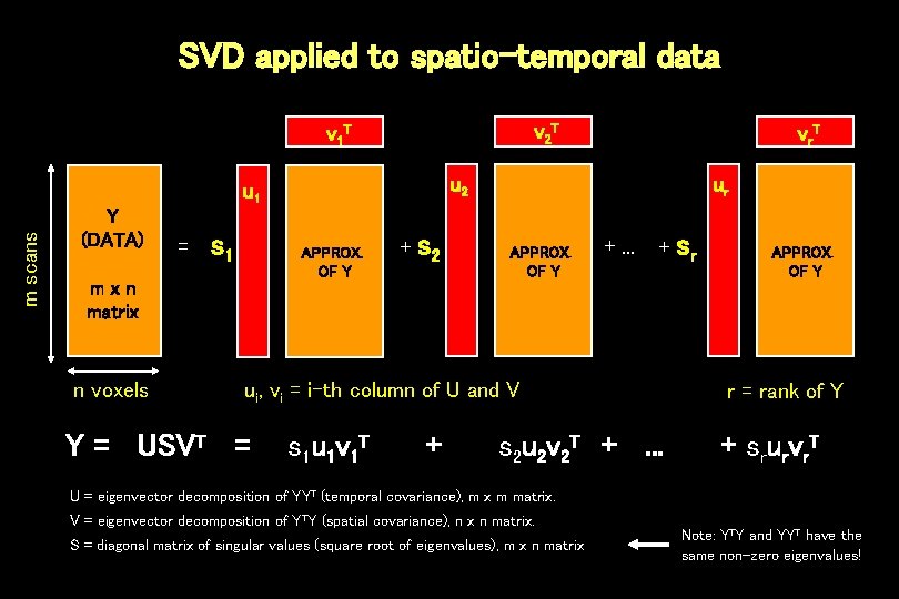 SVD applied to spatio-temporal data v 2 T v 1 T u 2 m