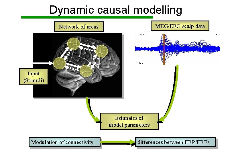 Dynamic causal modelling MEG/EEG scalp data Network of areas Input (Stimuli) Estimates of model