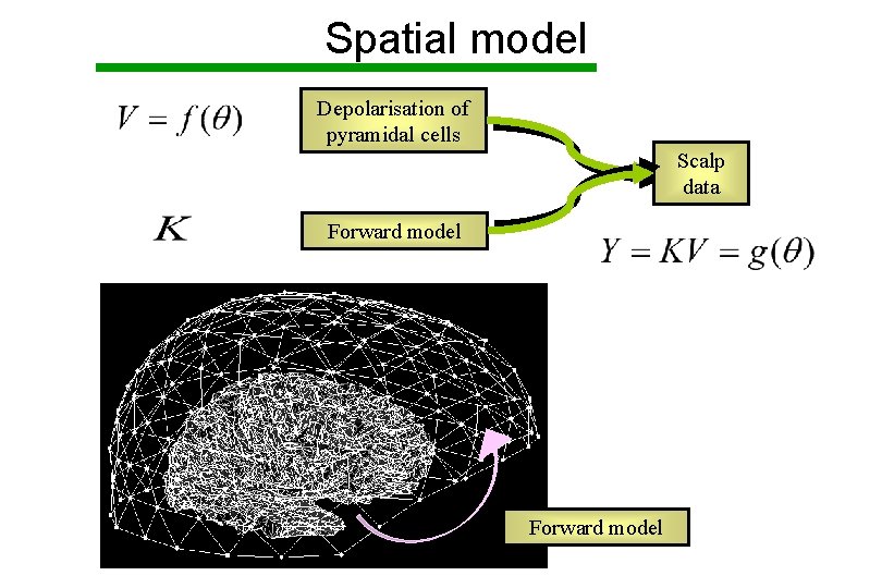 Spatial model Depolarisation of pyramidal cells Scalp data Forward model 