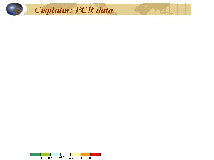 Cisplatin: PCR data x -8 x -4 x – 1. 5 x 4 x