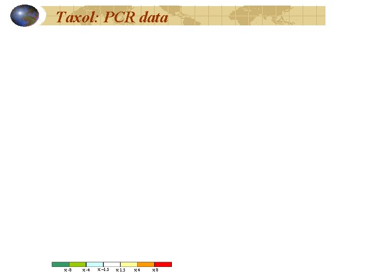 Taxol: PCR data x -8 x -4 x – 1. 5 x 4 x