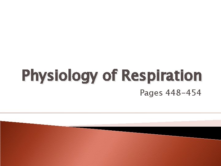 Physiology of Respiration Pages 448 -454 