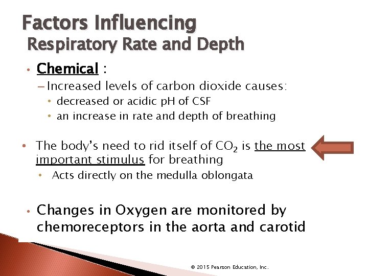 Factors Influencing Respiratory Rate and Depth • Chemical : – Increased levels of carbon