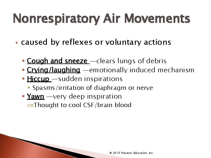 Nonrespiratory Air Movements § caused by reflexes or voluntary actions § Cough and sneeze
