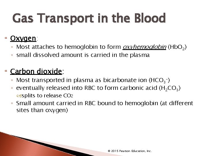 Gas Transport in the Blood Oxygen: ◦ Most attaches to hemoglobin to form oxyhemoglobin