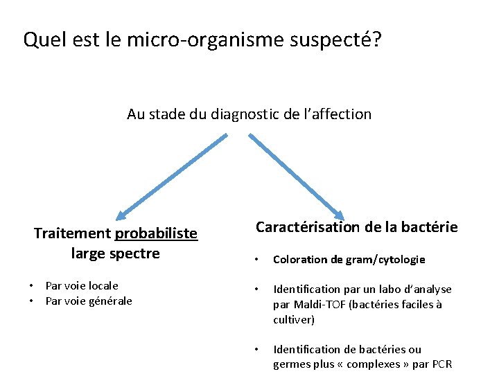 Quel est le micro-organisme suspecté? Au stade du diagnostic de l’affection Traitement probabiliste large