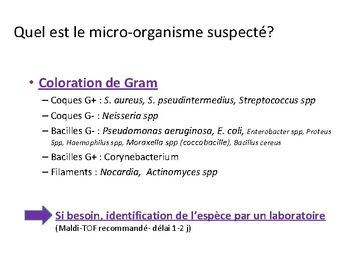 Quel est le micro-organisme suspecté? • Coloration de Gram – Coques G+ : S.