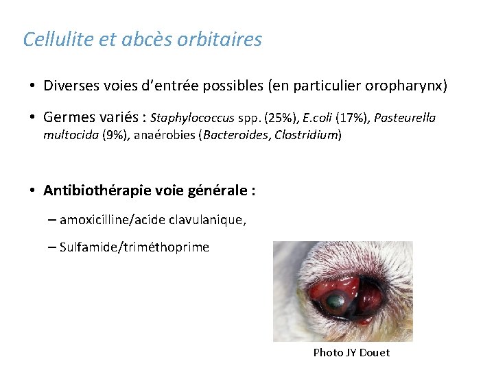 Cellulite et abcès orbitaires • Diverses voies d’entrée possibles (en particulier oropharynx) • Germes